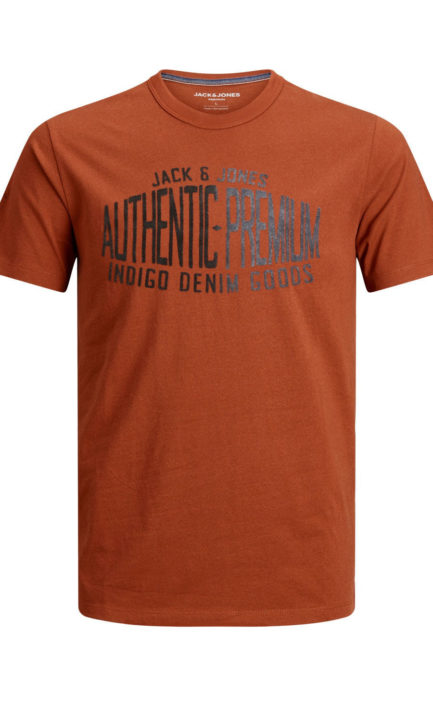 JACK & JONES Ανδρικό T-Shirt Graphic Τύπωμα